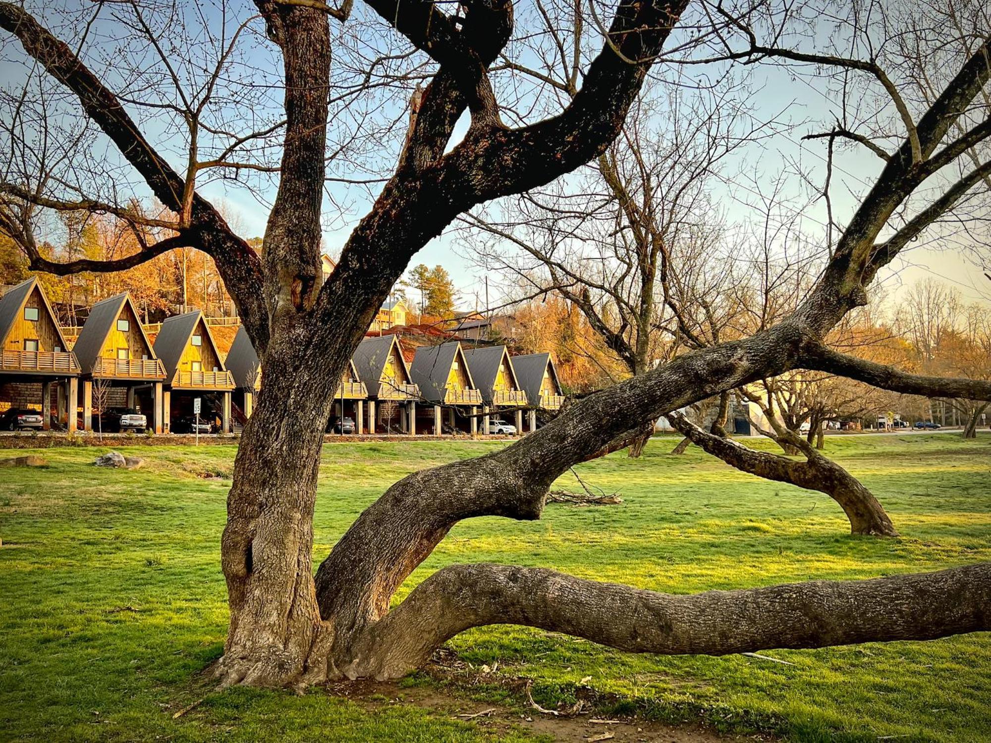 Wrong Way River Lodge & Cabins Asheville Buitenkant foto